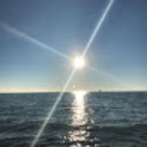 Meet your Posher, Maeve